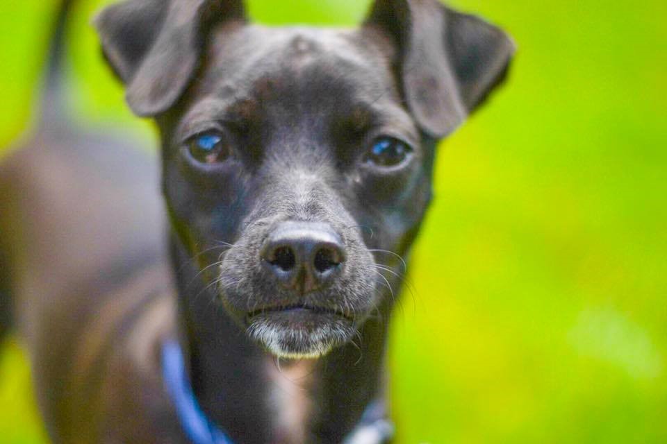 Bucky Back To His New-Found Family